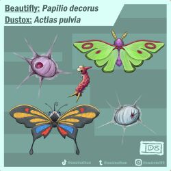 beautifly from pokemon