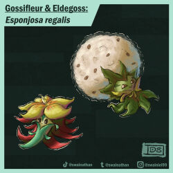 eldegoss from pokemon