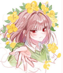 chara (undertale) from undertale