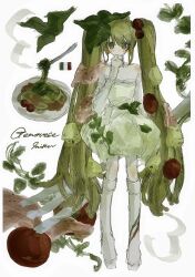 hatsune miku from vocaloid
