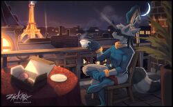 sly cooper from sly cooper (series)