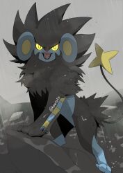 luxray from pokemon