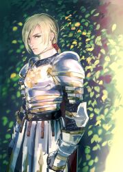 dragon quest fan art