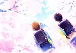 nanase haruka (free!) from free!