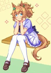 taiki shuttle (umamusume) from umamusume