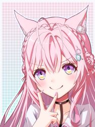 hakui koyori from hololive