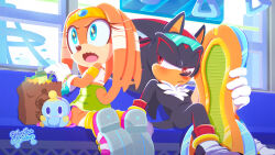 shadow the hedgehog from sonic (series)
