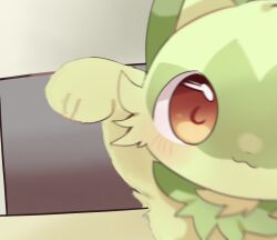 sprigatito from pokemon by yupo 0322