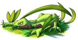grovyle from pokemon