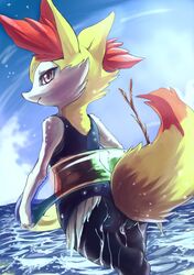 braixen from pokemon