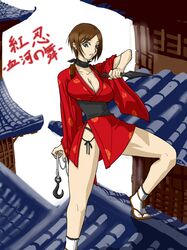 kurenai (red ninja) from red ninja