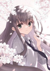 sakura no uta fan art