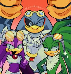 jet the hawk from sonic (series)