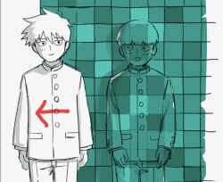 kageyama shigeo from meccha chameleon