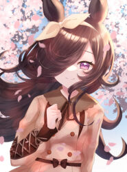 rice shower (umamusume) from umamusume