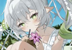 nahida (genshin impact) from genshin impact by sorani (kaeru0768)