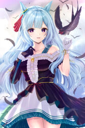 mejiro ardan (umamusume) from umamusume