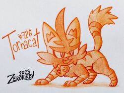 torracat from pokemon