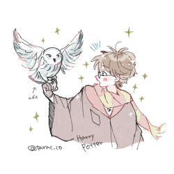 harry potter from harry potter (series)