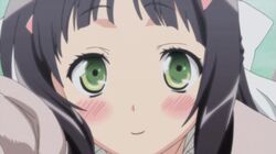 tsuruma konoe from kono naka ni hitori imouto ga iru!