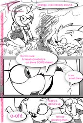 amy rose from sega