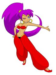 shantae (character) from shantae