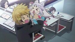 kon (tokyo ravens) from tokyo ravens