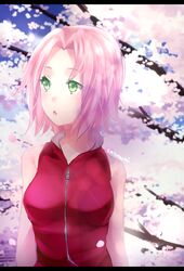 haruno sakura from naruto