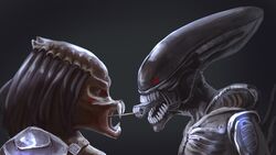 predator from aliens vs predator by oshou (o shou)