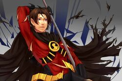 red robin from batman (series)