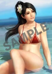 momiji (ninja gaiden) from dead or alive