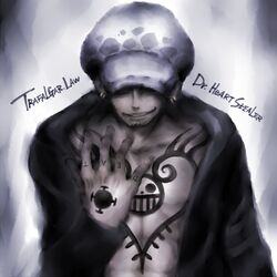 trafalgar law from one piece
