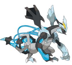 black kyurem from pokemon