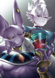 beerus from dragon ball