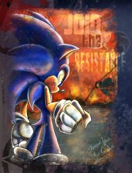 sonic the hedgehog from sonic (series)