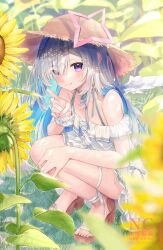 amane kanata from hololive