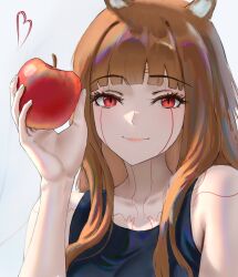 holo from spice and wolf