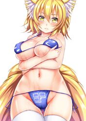 yakumo ran from touhou by ebi 193