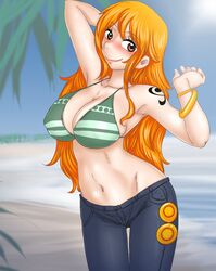 nami (one piece) from one piece
