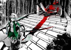konpaku youmu from touhou by fuyou deng