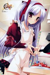 momono shiori from 11eyes by hagiwara onsen