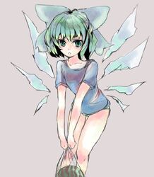 cirno from touhou by hey