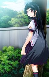 hitoyume fan art