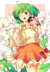 ranka lee from macross by kitagawa unagi