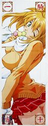 sonsaku hakufu from ikkitousen by shiozaki yuji