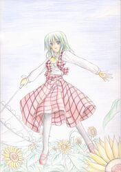 kazami yuuka from touhou by kirisaki byakko