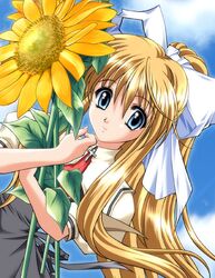 kamio misuzu from air