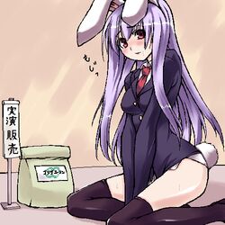 reisen udongein inaba from touhou by oohira sansetto