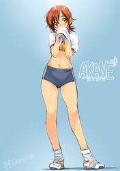 hino akane (smile precure!) from precure by inoue sora