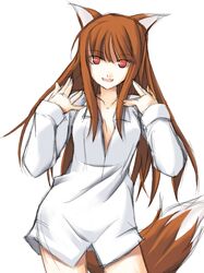 holo from spice and wolf by ribi